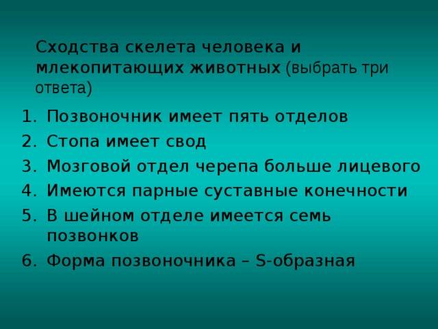 Чем скелет человека отличается от скелета млекопитающих животных