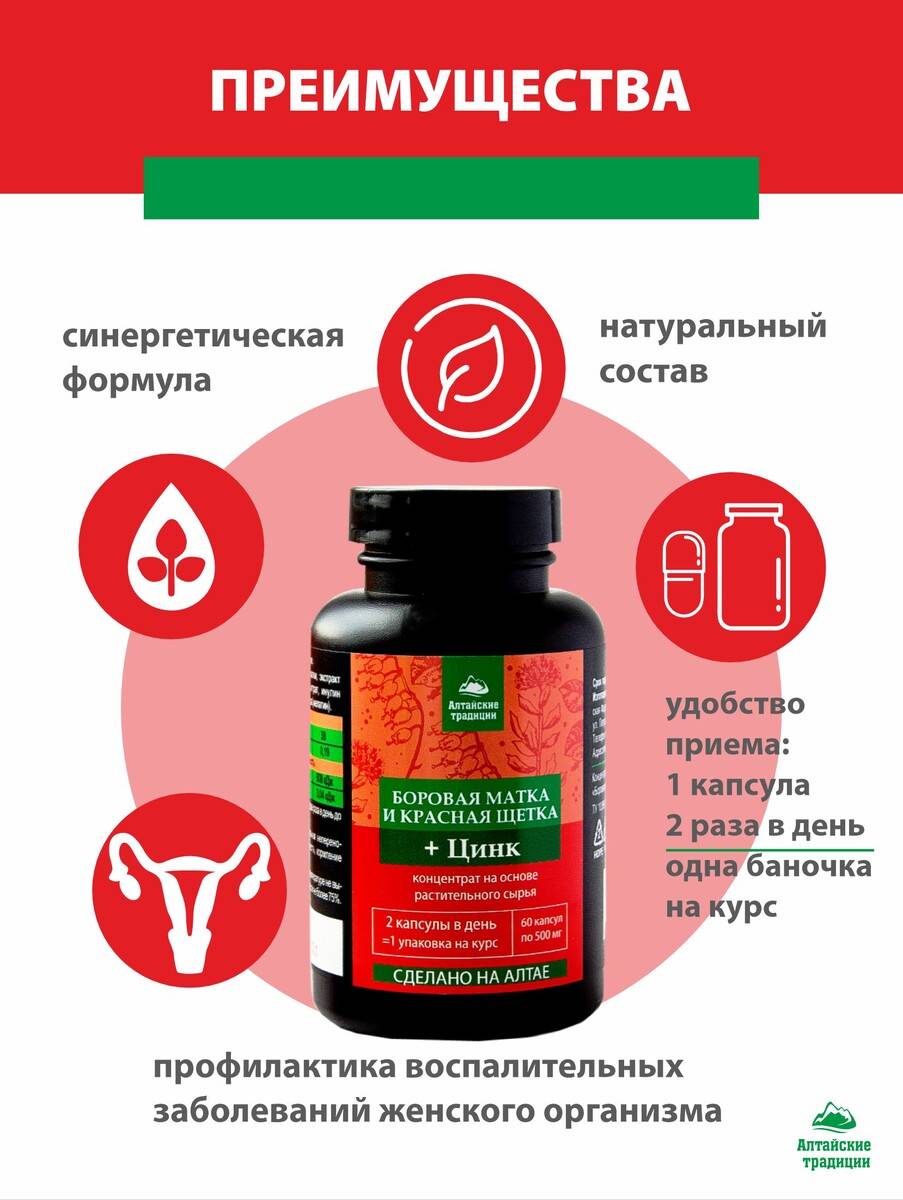 Возможности боровой матки и красной щётки в лечении бесплодия · всё о беременности, родах, развитии ребенка, а также воспитании и уходе за ним на babyzzz.ru