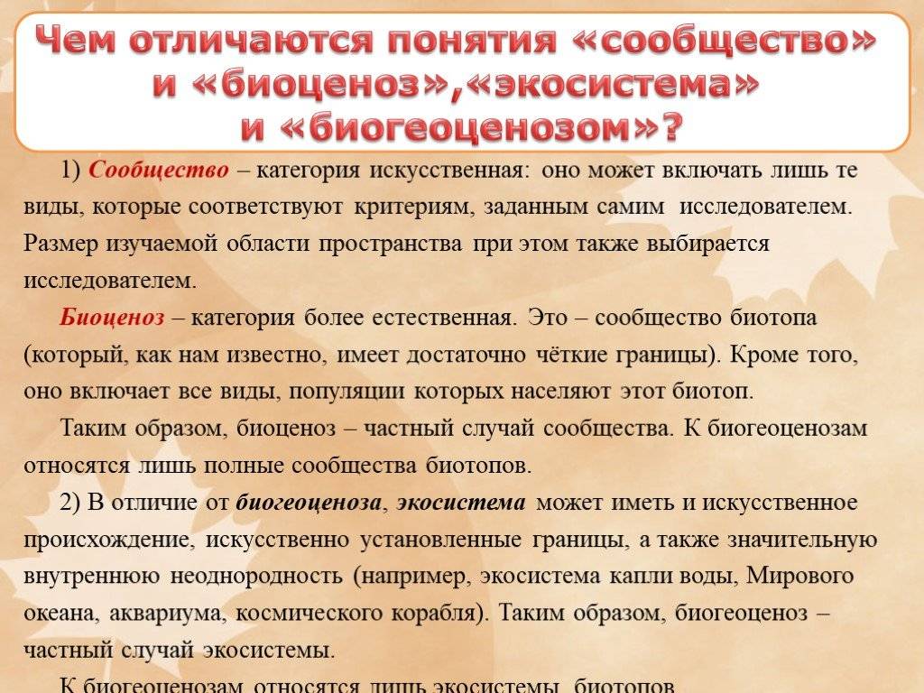 Биогеоценоз животных и растений: виды, уровни и структура.