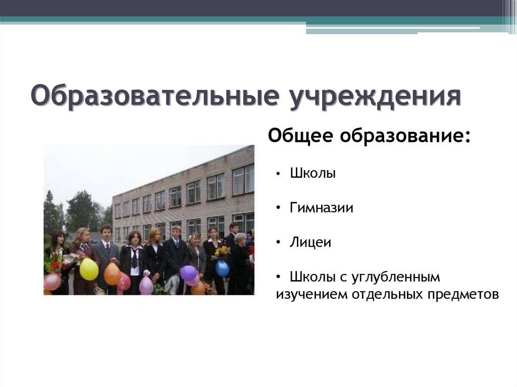 Школа, лицей, гимназия – что это такое и отличия - премудрости