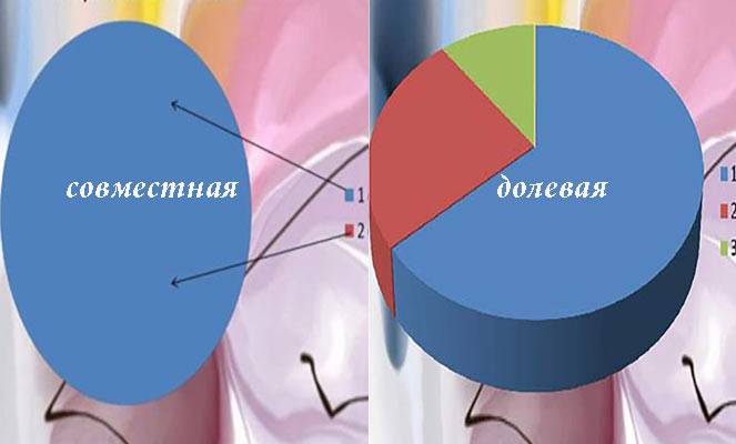 Совместная и долевая собственность: в чем разница и как оформляется квартира без определения долей?