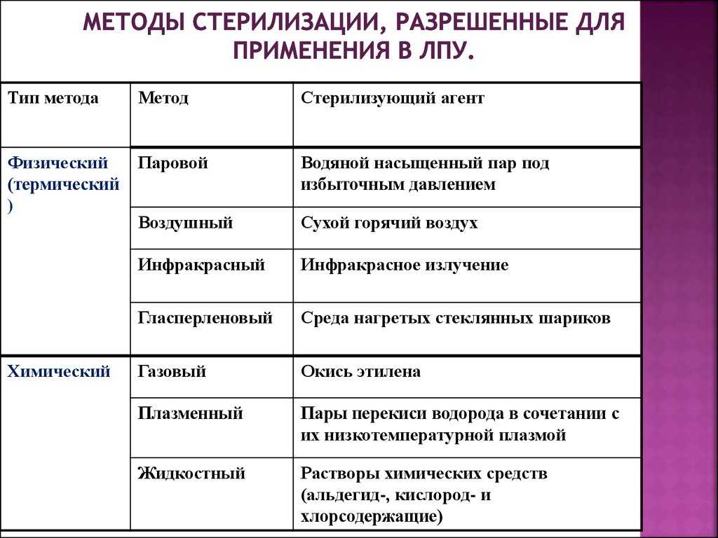 Кастрация и стерилизация собак, различия, оптимальный возраст