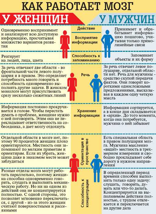 Что делает женщину женщиной – основные отличия от мужчин