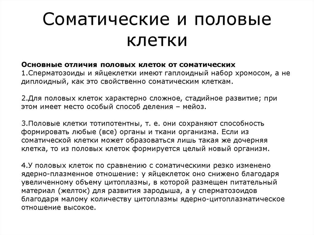 Чем отличаются половые клетки от соматических клеток? исследование основных характеристик и потенциальных приложений - povoprosyguru.ru