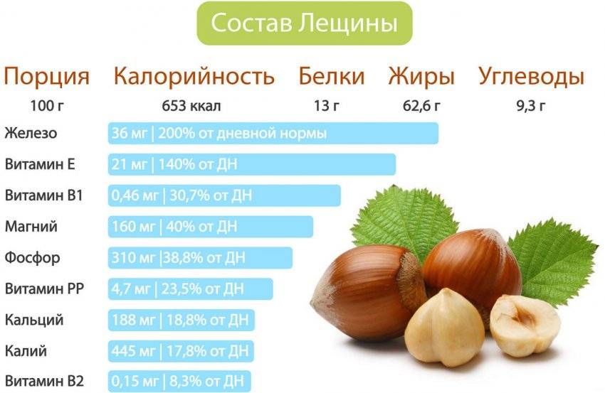 Лещина: виды, описание, состав и свойства, применение, противопоказания