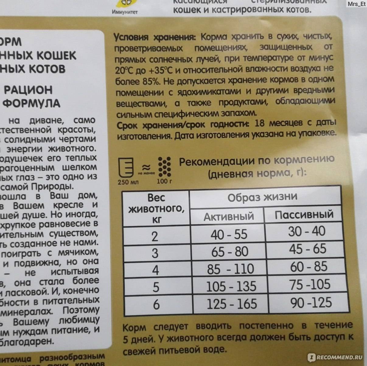 Чем отличается корм для стерилизованных кошек от обычного: особенности и рекомендации