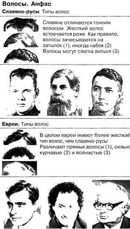 Как выглядят евреи, внешность женщин и мужчин фото, отличительные характерные черты еврейской национальности - женская жизньженская жизнь