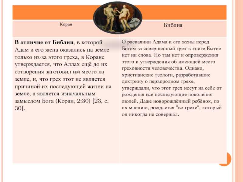 Основные отличия между библией и кораном: разбираемся в сути священных текстов