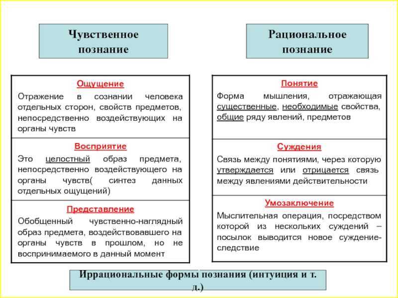 Структура знания. чувственное и рациональное познание
