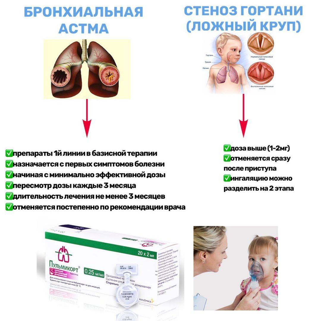 Чем отличается симбикорт от пульмикорта?