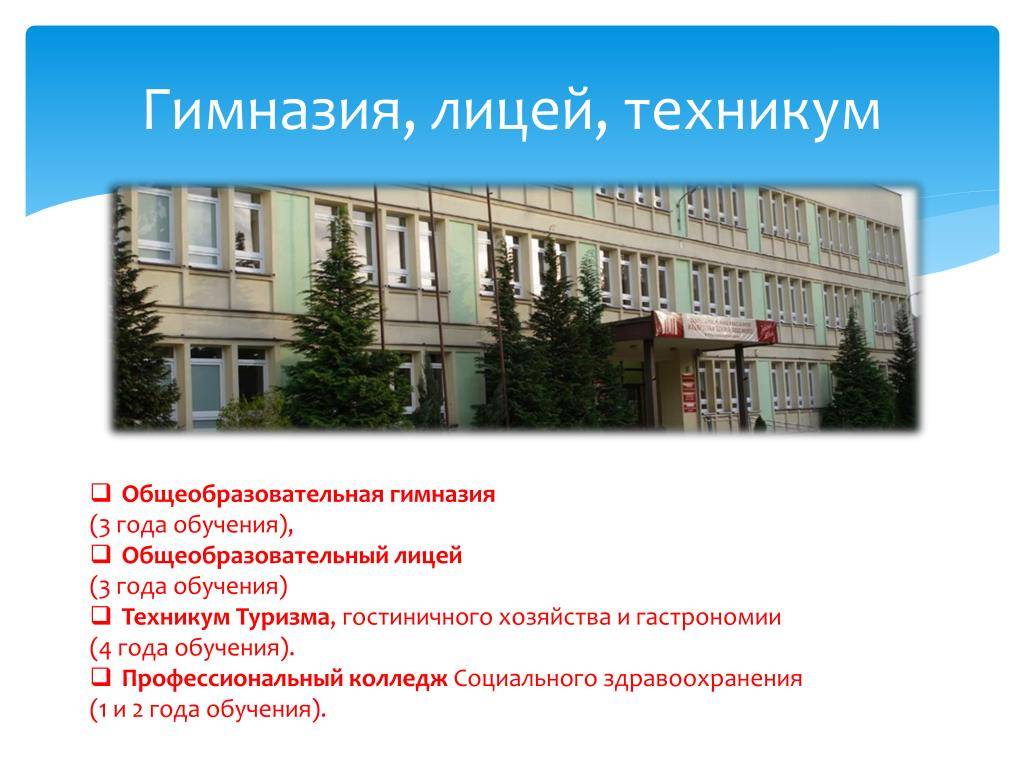 Образование детей: чем отличается школа от гимназии и лицея