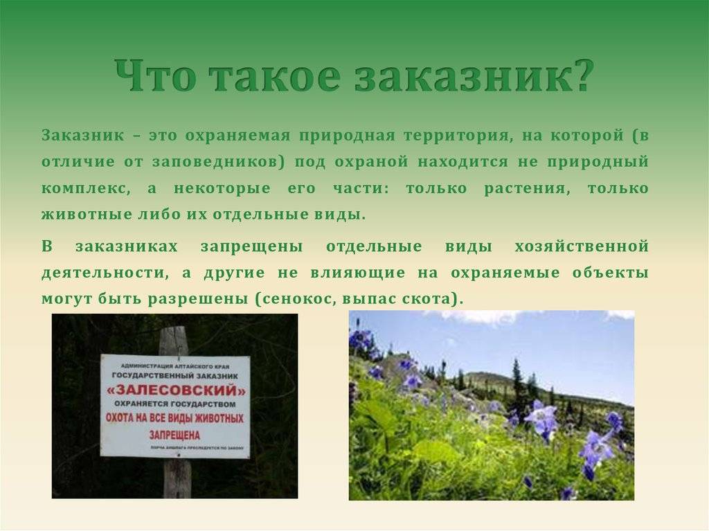 Краткий ответ - чем отличаются заказники от заповедников