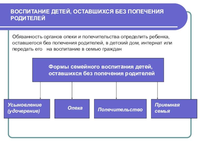 Приемная семья и опека - разница с юридической точки зрения