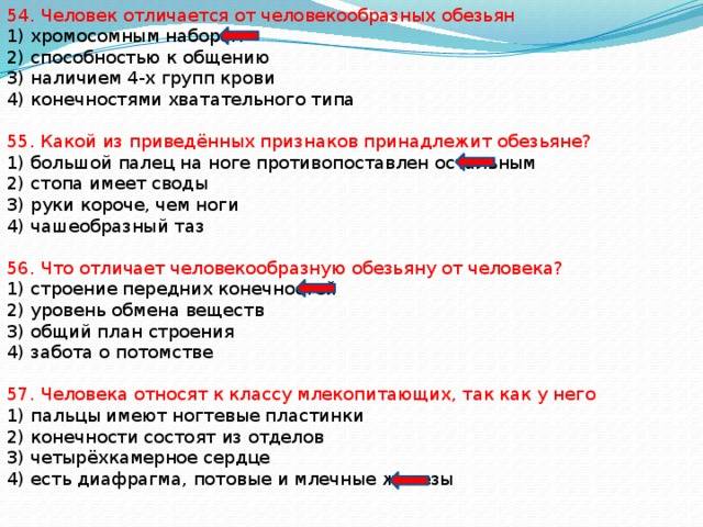 Человек и обезьяна: сходства и отличия