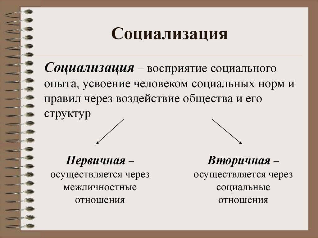 Разница между правдой и истиной: в чем заключается?