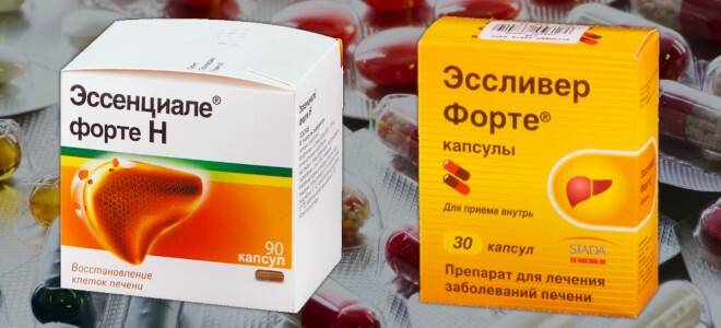 Отличие эссенциале от эссенциале форте: что общего у препаратов, в чём разница между эссенциале и эссенциале форте