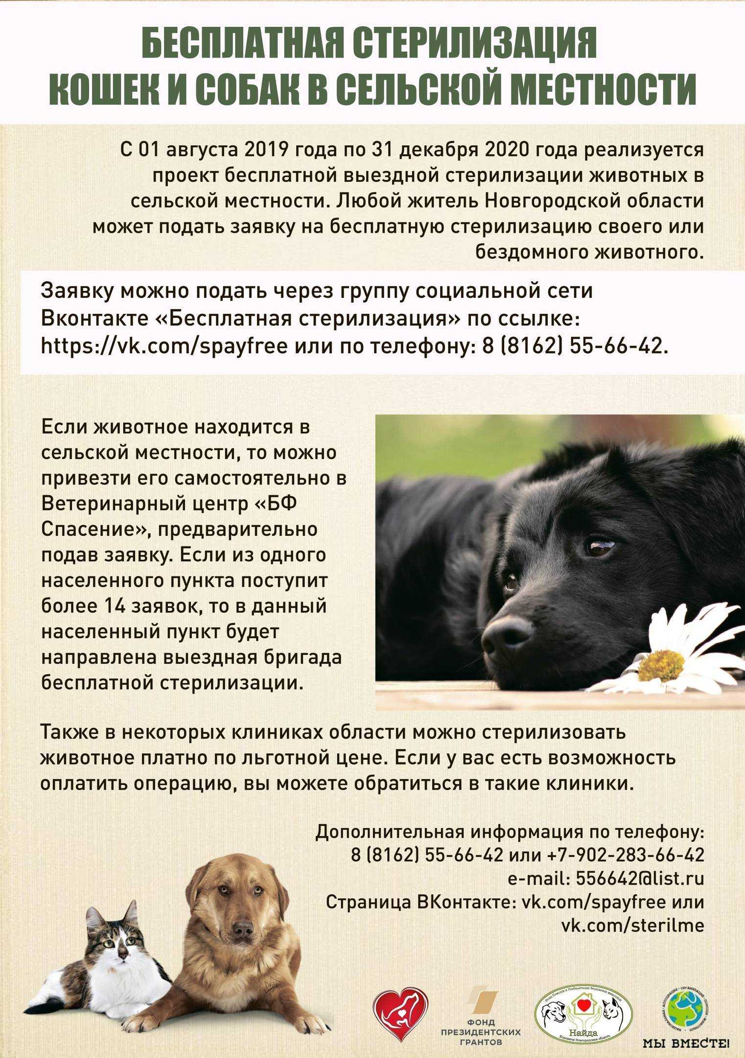 Кастрация и стерилизация. животных