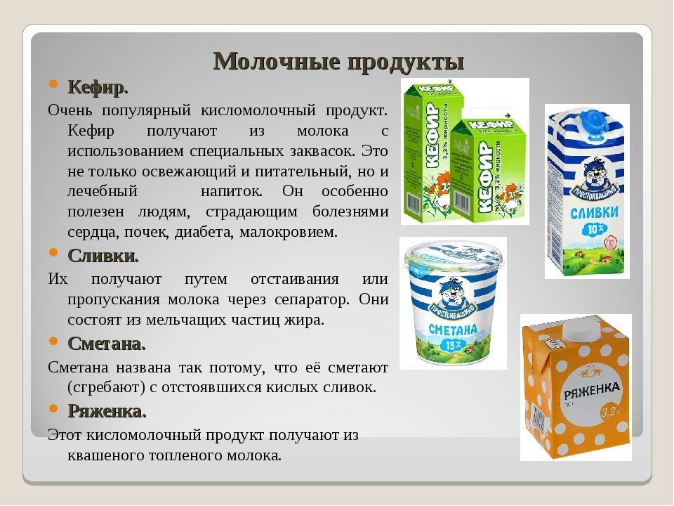 Молочные продукты к чему относятся. кисломолочные продукты | здоровье человека