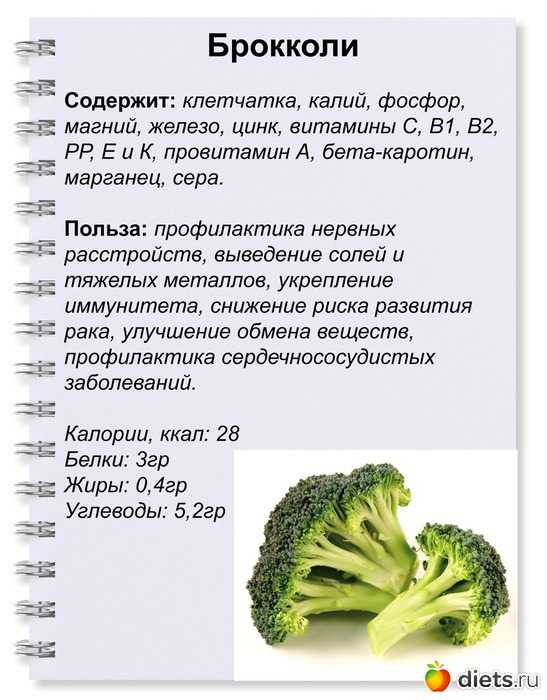 В чем польза - цветная капуста или брокколи? 2024