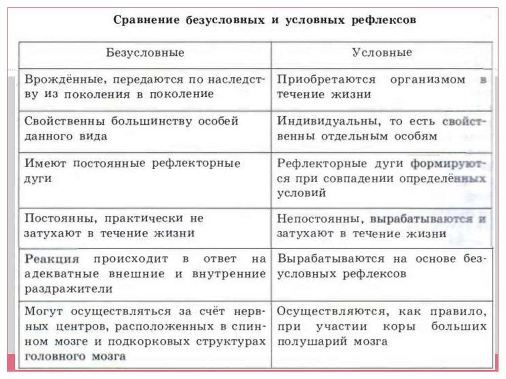 Инстинкт и рефлекс: в чем разница и как они влияют на поведение