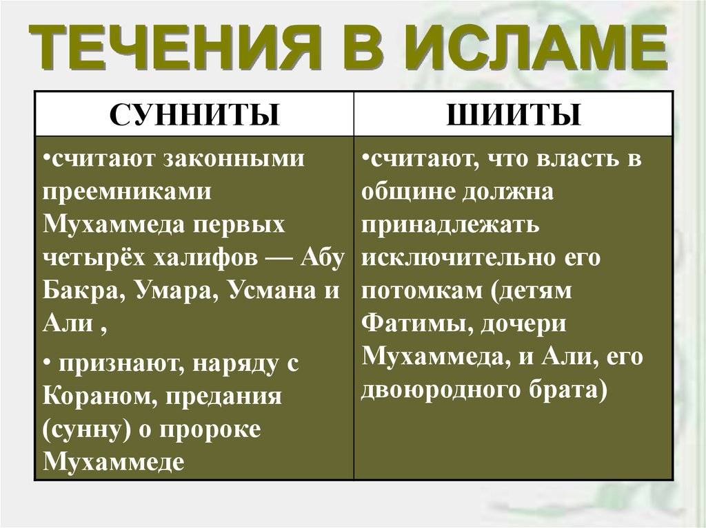 Сунниты и шииты: в чем разница и кратко об отличиях, кого в исламе больше