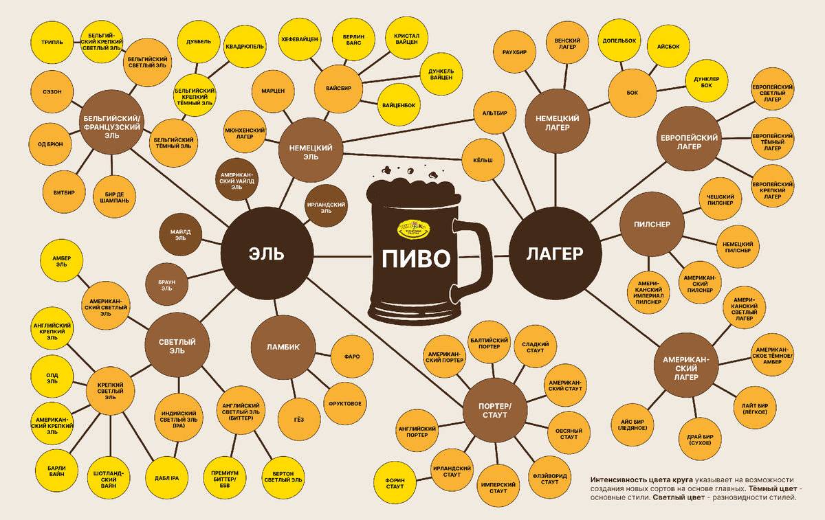 Чем отличается пиво от пивного напитка?