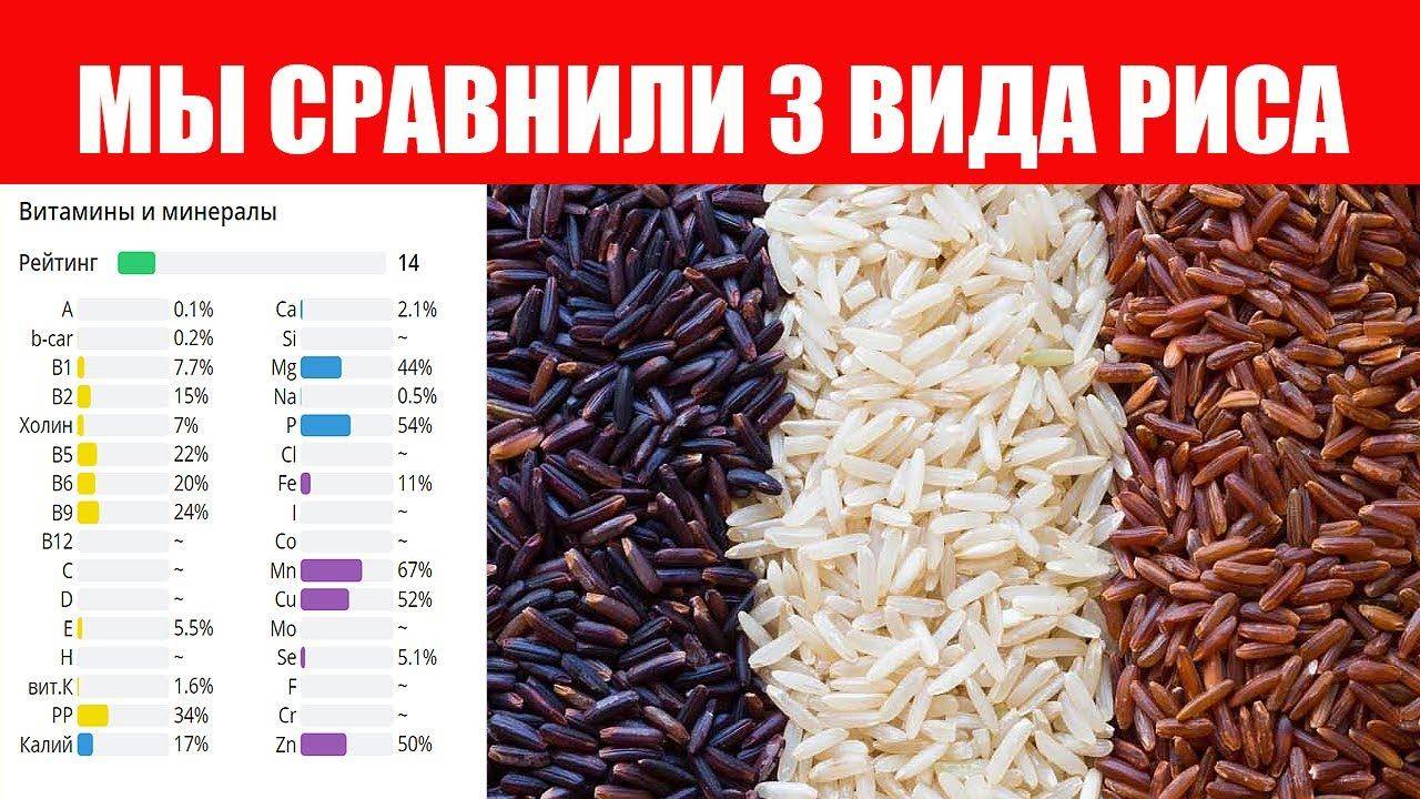 Басмати или жасмин? какой рис самый ароматный