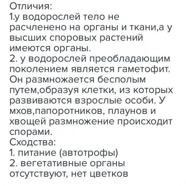 Чем мхи отличаются от водорослей? | в чем разница