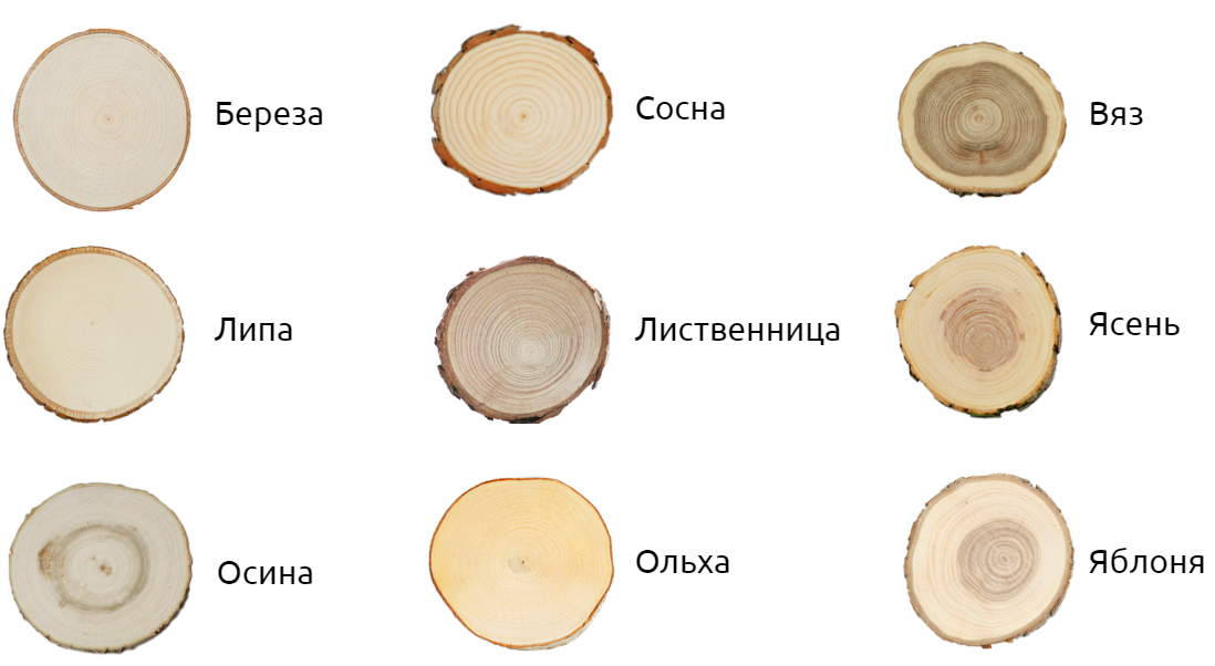 Чем отличаются лесоматериалы от пиломатериалов 👉 виды и сортимент - про фанеру
