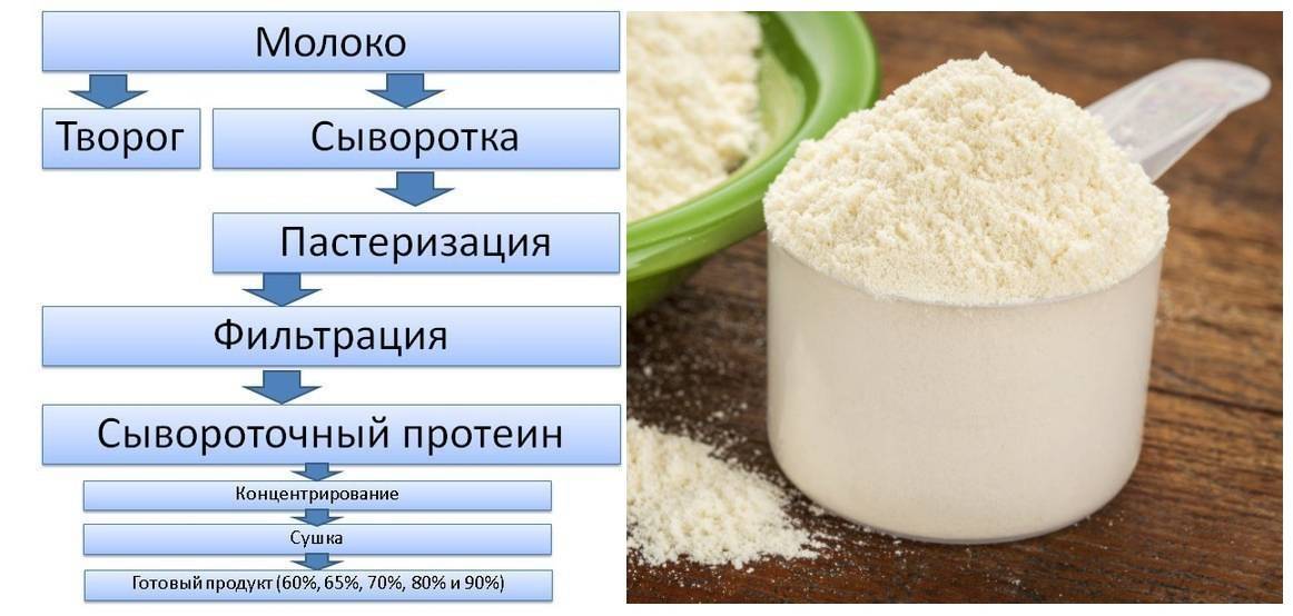 Типы вакцин и сывороток
