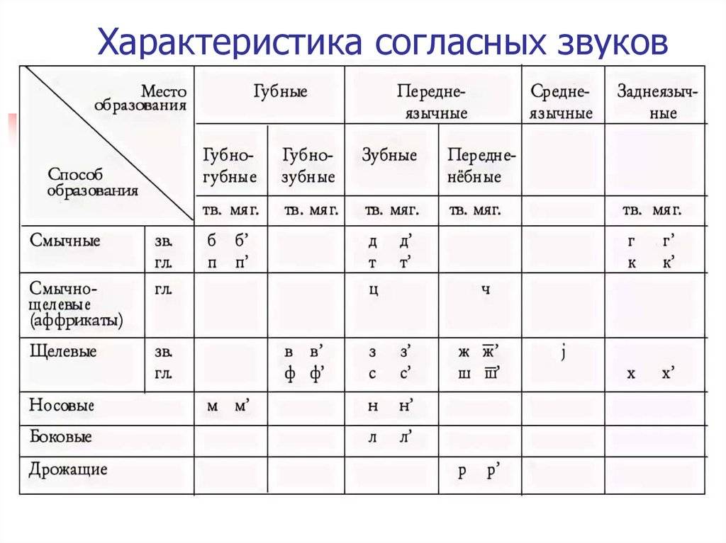 Фонология | студцентр