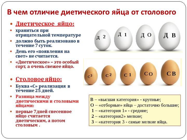 4 основных отличия яиц с1 и с2 категории. пищевая ценность