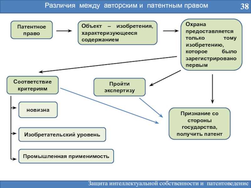Чем отличается университет от академии?