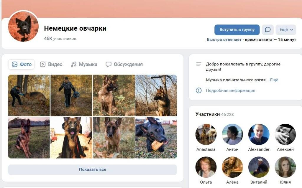 Чем отличается группа от публичной страницы вконтакте, от паблика, сообщества, страницы