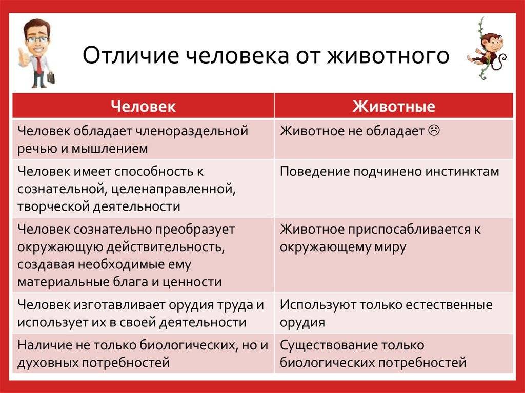 Чем отличается тема и тематика в литературе