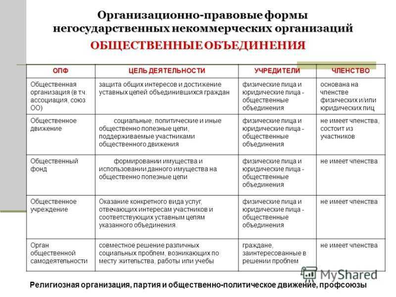 Коммерческая организация: что это такое, виды и отличия от некомерческой