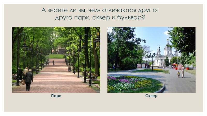 Различия между парком и сквером: основные отличия