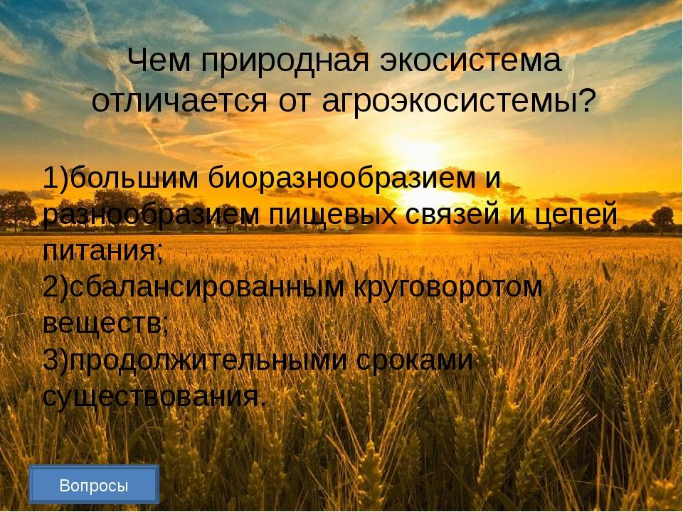 Сравнительная характеристика природных экосистем и агроэкосистем местности. агроэкосистемы или агроценозы