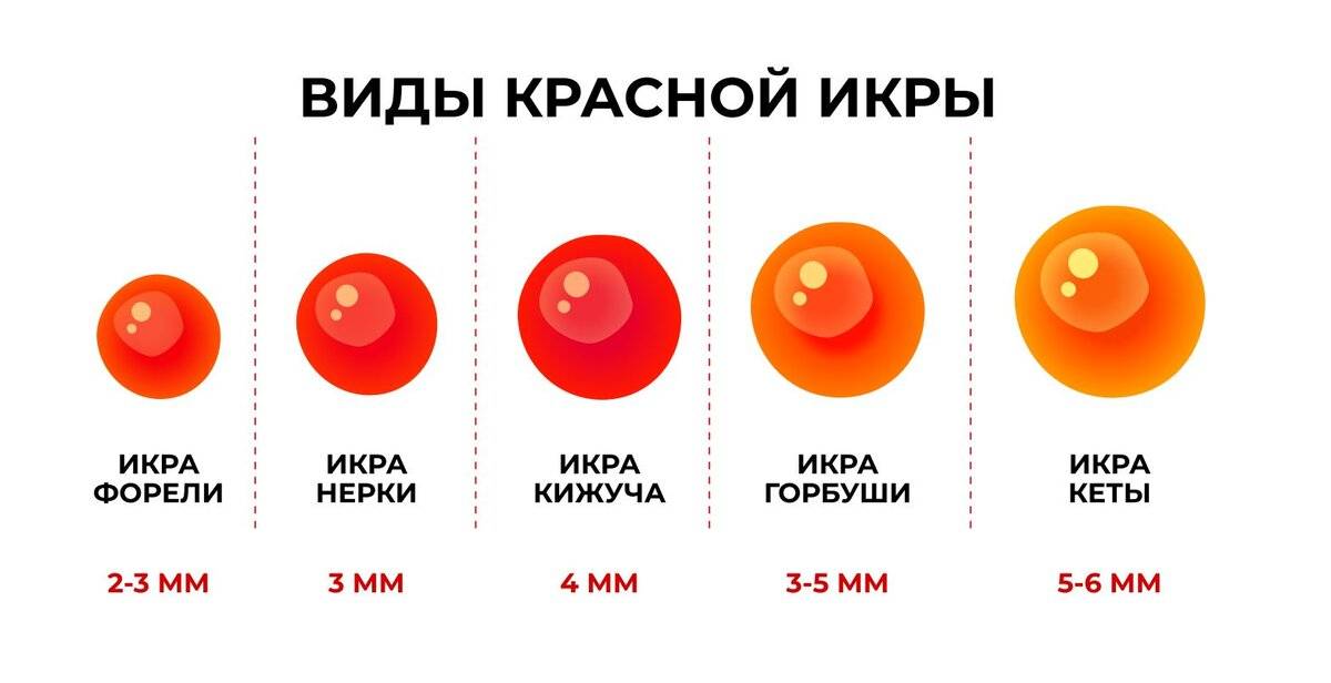 Что полезнее икра кеты или горбуши? сходства, различия, состав, полезные свойства