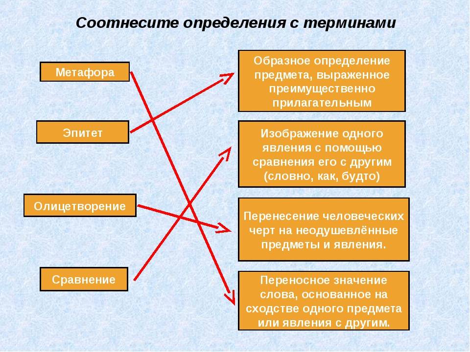В чем разница между функцией и процедурой: основные отличия и применение