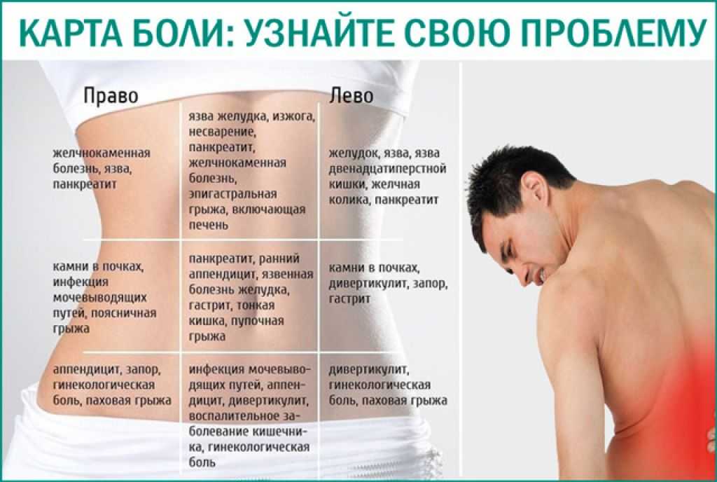 Как отличить что болит спина или почки, разница в симптоматике