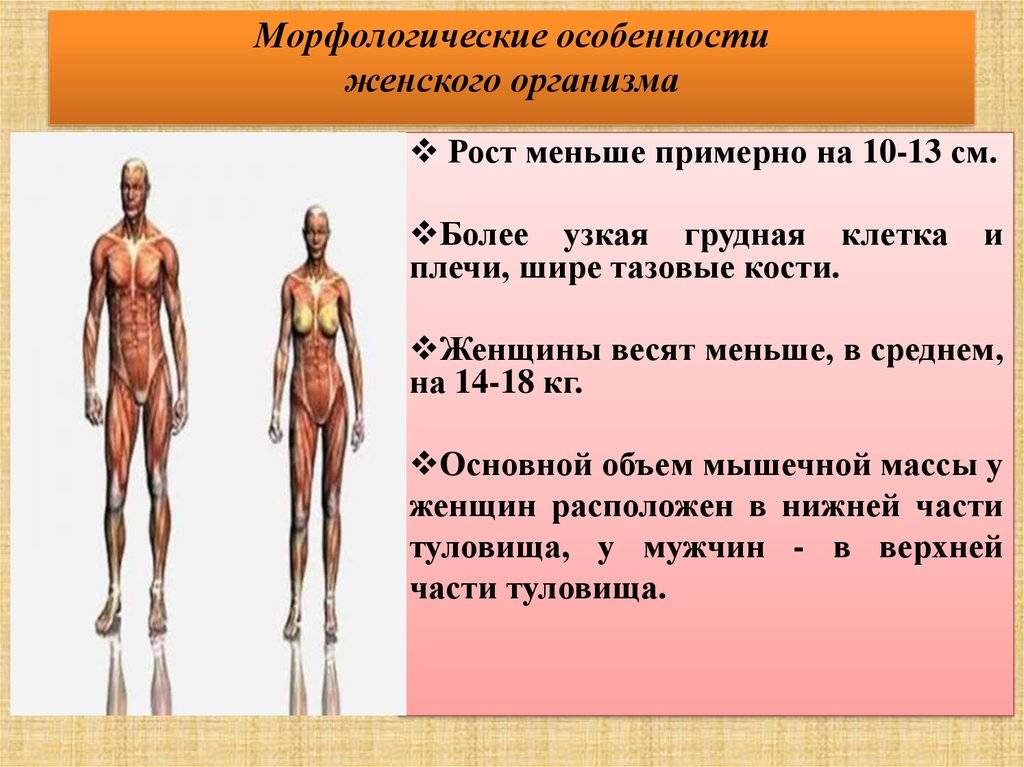 Какая разница между девушкой и женщиной?