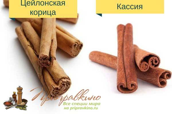 Корица и кассия: в чем отличия и как не ошибиться при покупке