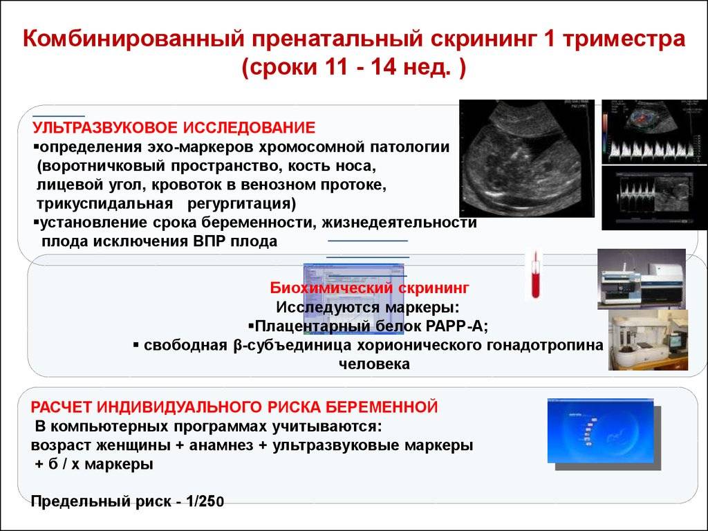Cкрининги при беременности: на каких сроках, что это такое, как делают узи?