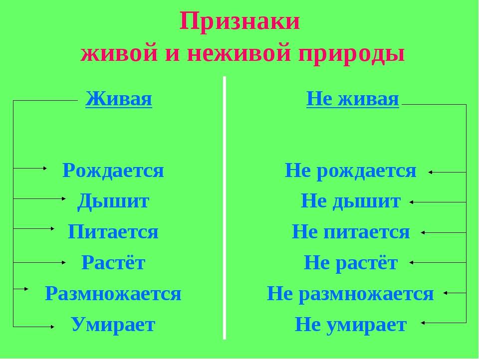 Конспект занятия «живая и неживая природа». воспитателям детских садов, школьным учителям и педагогам - маам.ру
