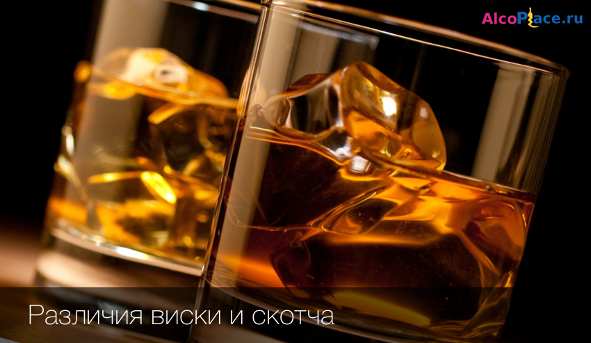 Скотч и виски: есть ли разница, чем отличаются, как выбрать