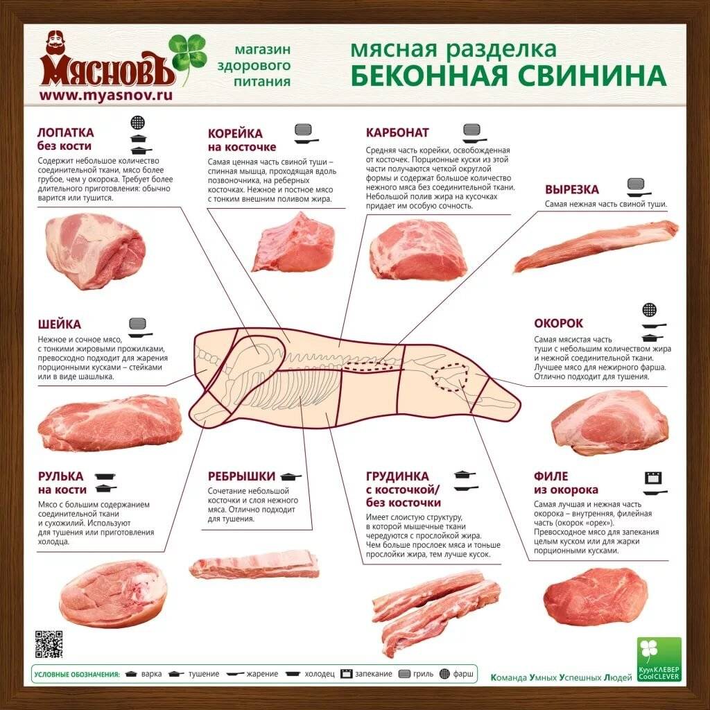 Кострец, вырезка, карбонат и почеревок свиньи на схеме: фото где находятся и что это такое
кострец, вырезка, карбонат и почеревок свиньи на схеме: фото где находятся и что это такое