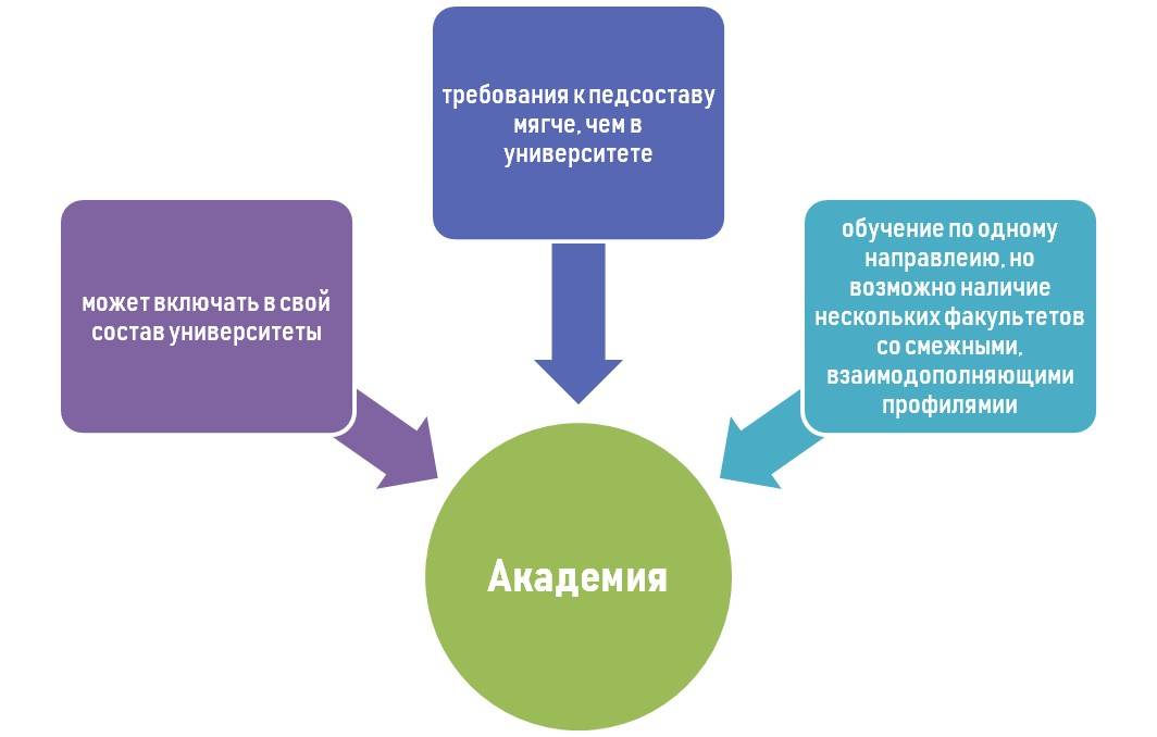 В чем разница между институтом и университетом, куда поступать после школы?