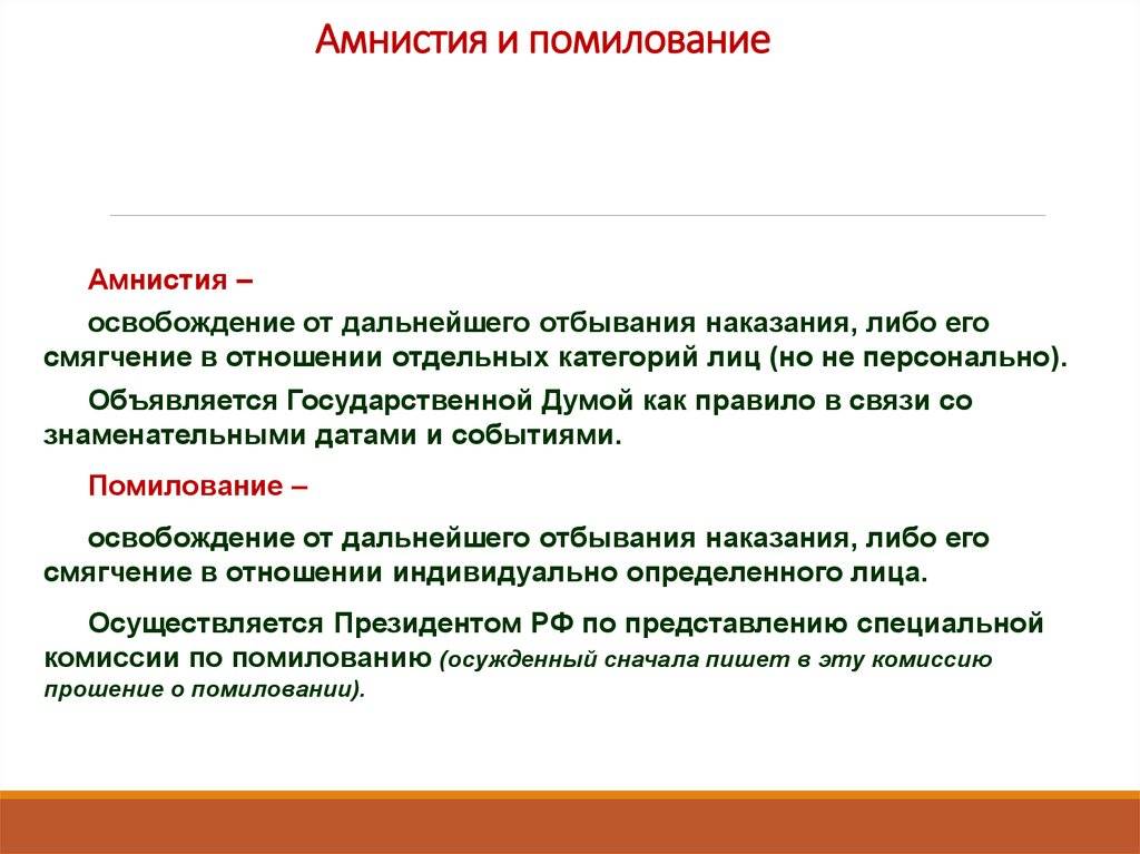 Амнистия и помилование: порядок применения