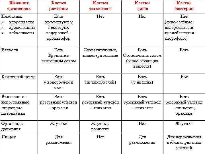 32. клетка как биологическая система
 читать 0 мин.